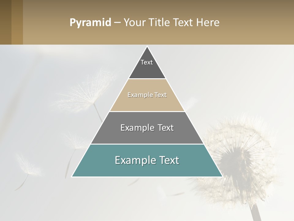 A Dandelion Powerpoint Presentation With A Sky Background PowerPoint Template