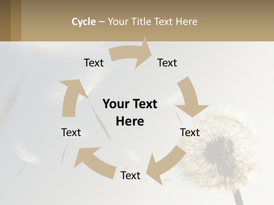 A Dandelion Powerpoint Presentation With A Sky Background PowerPoint Template
