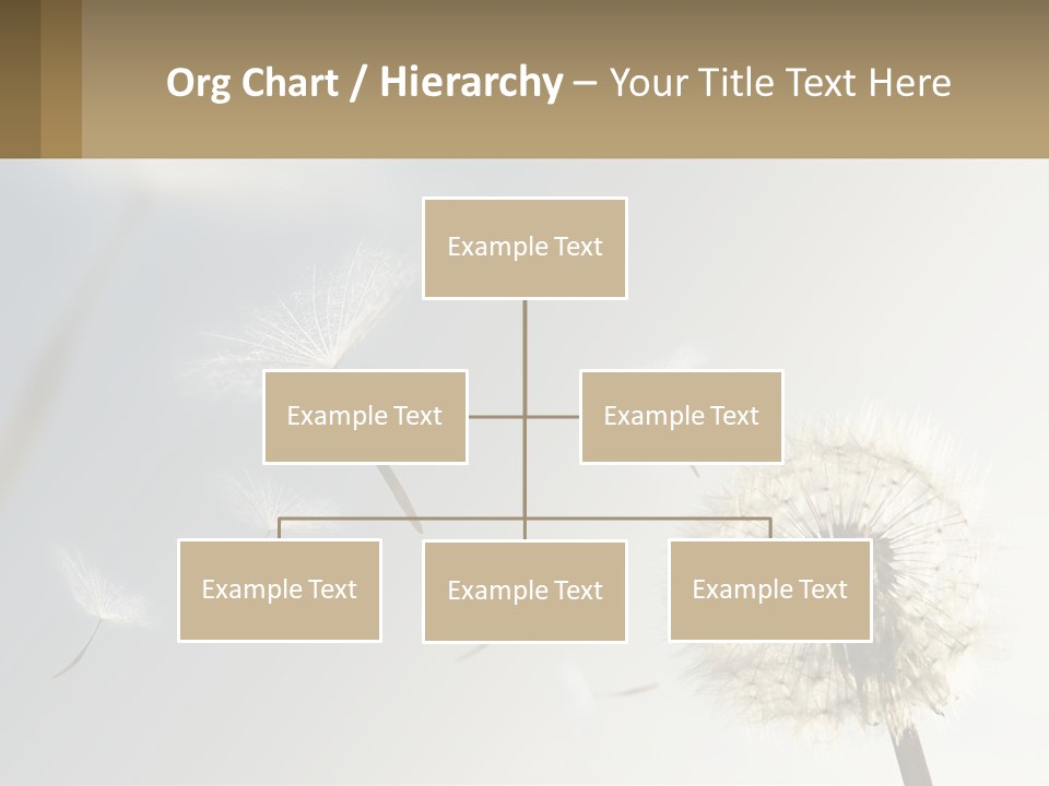 A Dandelion Powerpoint Presentation With A Sky Background PowerPoint Template