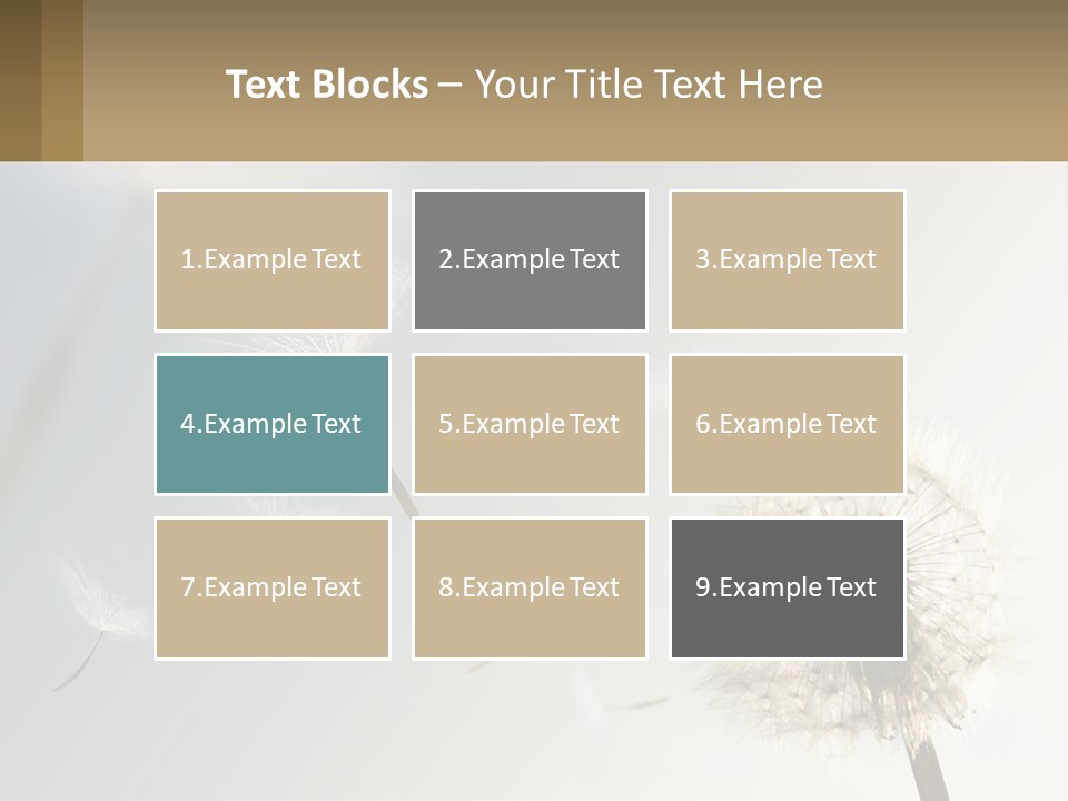 A Dandelion Powerpoint Presentation With A Sky Background PowerPoint Template