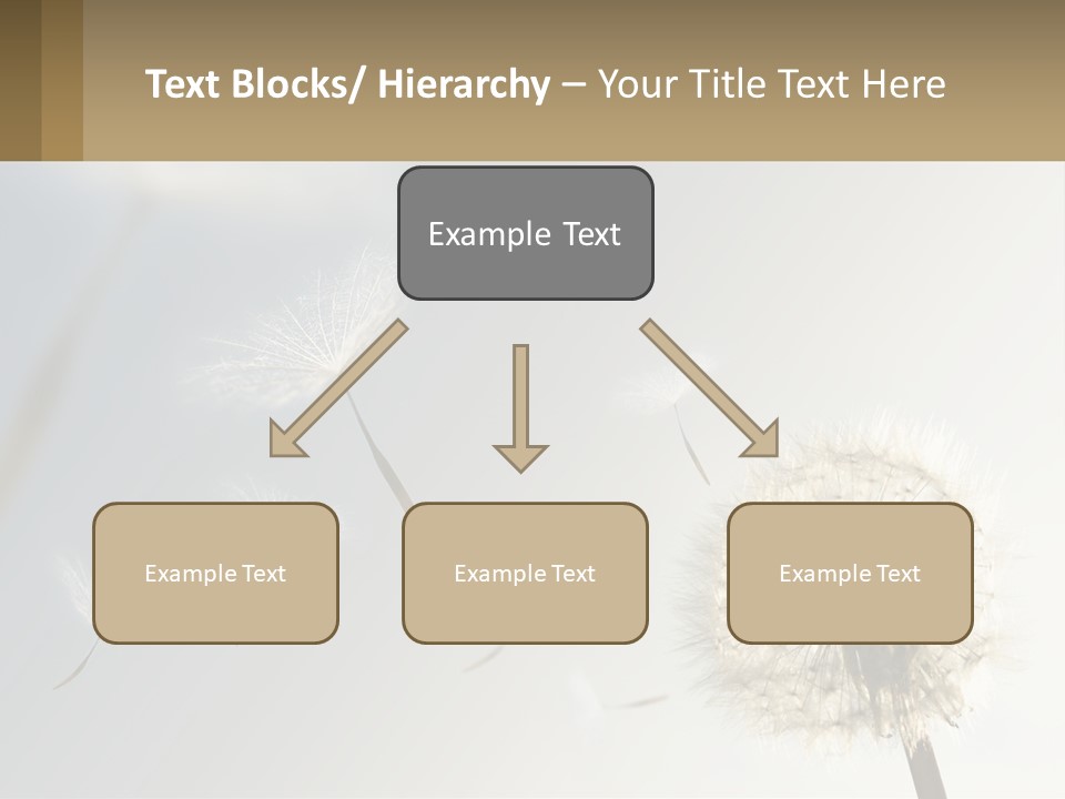 A Dandelion Powerpoint Presentation With A Sky Background PowerPoint Template