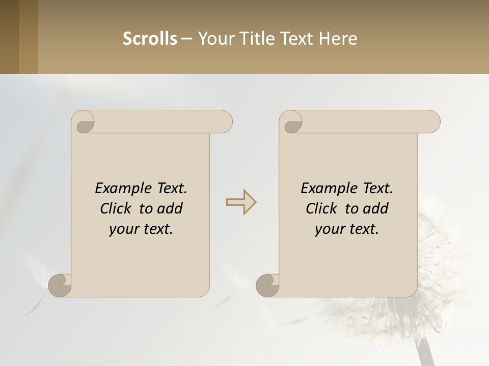 A Dandelion Powerpoint Presentation With A Sky Background PowerPoint Template