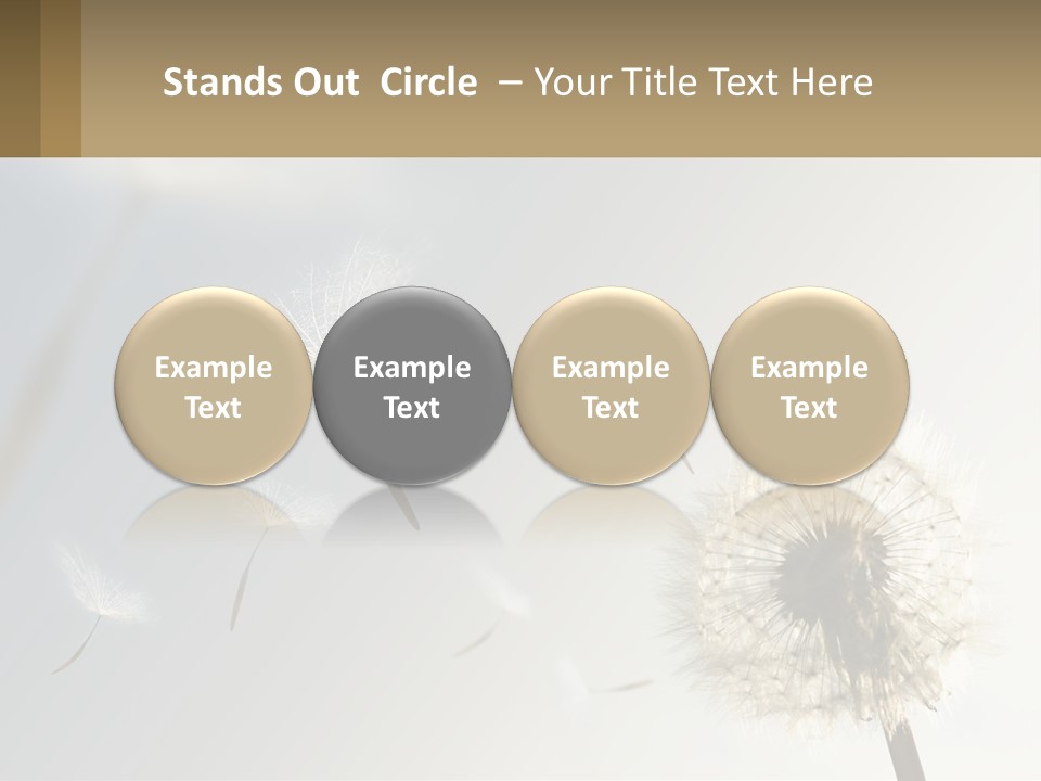 A Dandelion Powerpoint Presentation With A Sky Background PowerPoint Template