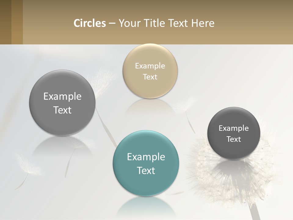 A Dandelion Powerpoint Presentation With A Sky Background PowerPoint Template