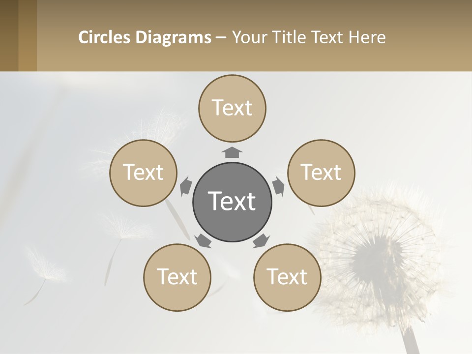 A Dandelion Powerpoint Presentation With A Sky Background PowerPoint Template