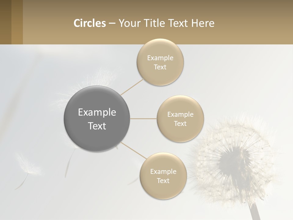 A Dandelion Powerpoint Presentation With A Sky Background PowerPoint Template