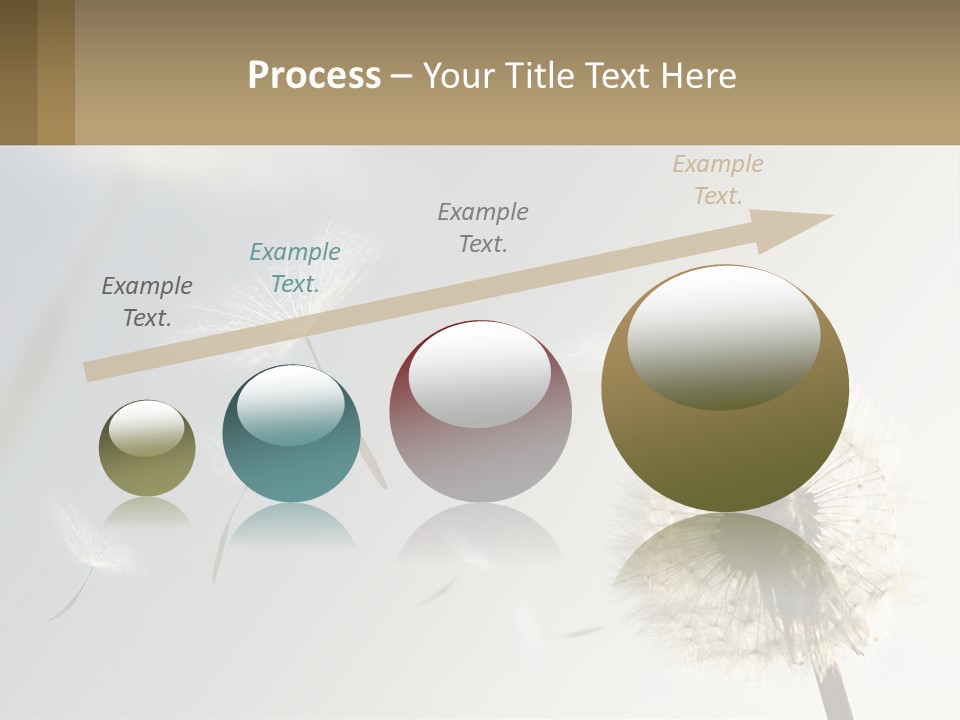 A Dandelion Powerpoint Presentation With A Sky Background PowerPoint Template