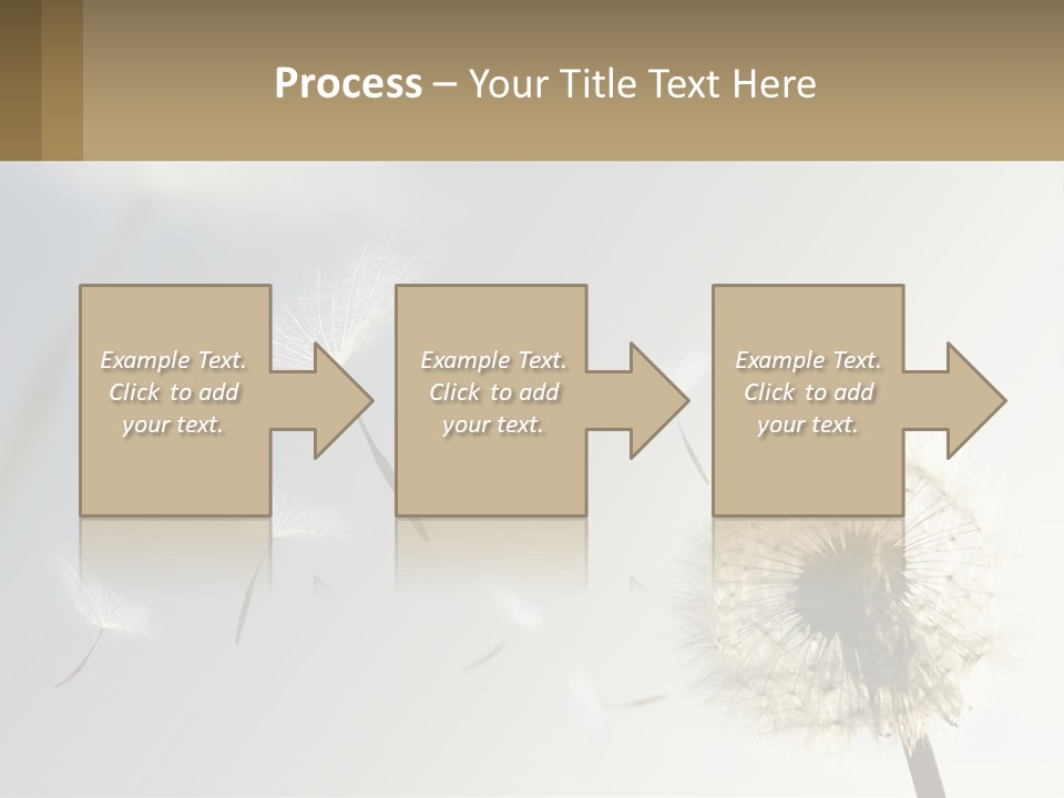 A Dandelion Powerpoint Presentation With A Sky Background PowerPoint Template