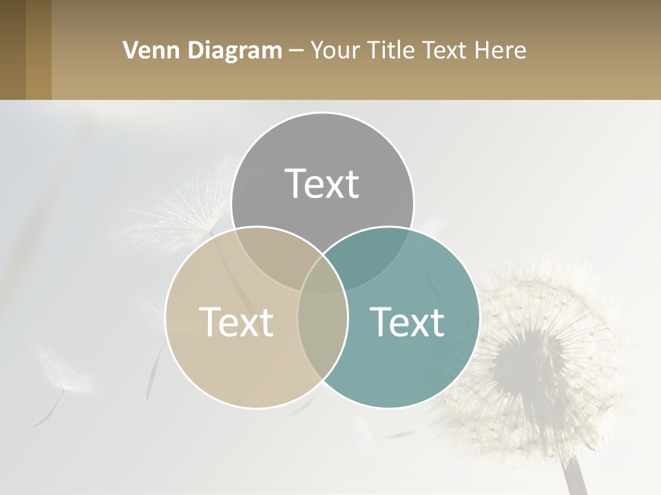 A Dandelion Powerpoint Presentation With A Sky Background PowerPoint Template