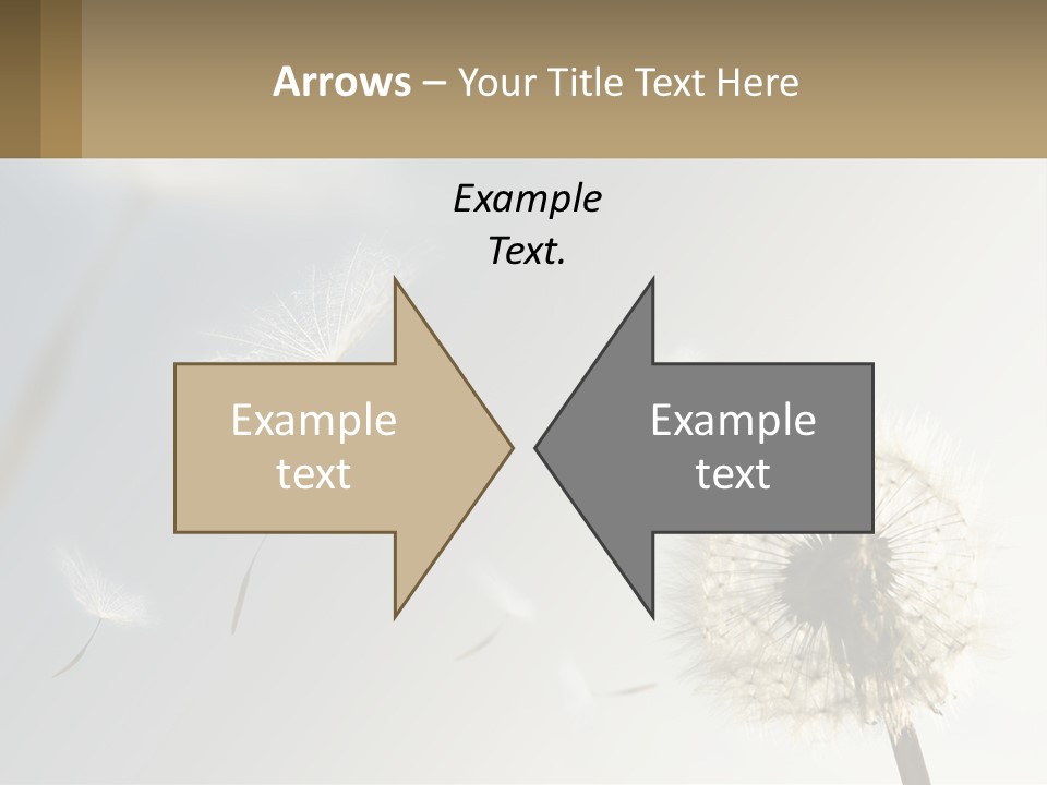 A Dandelion Powerpoint Presentation With A Sky Background PowerPoint Template