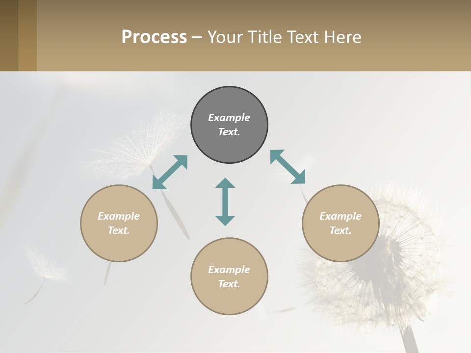A Dandelion Powerpoint Presentation With A Sky Background PowerPoint Template