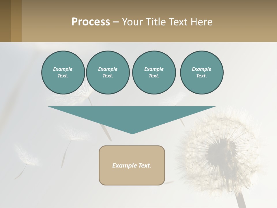 A Dandelion Powerpoint Presentation With A Sky Background PowerPoint Template