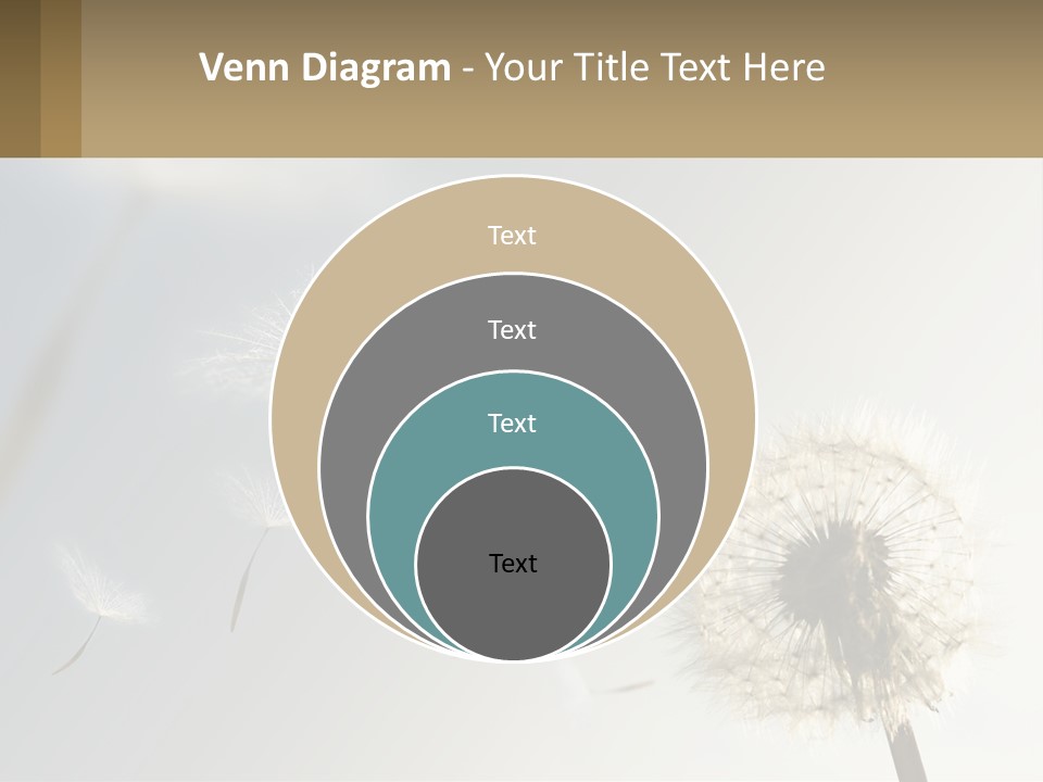 A Dandelion Powerpoint Presentation With A Sky Background PowerPoint Template