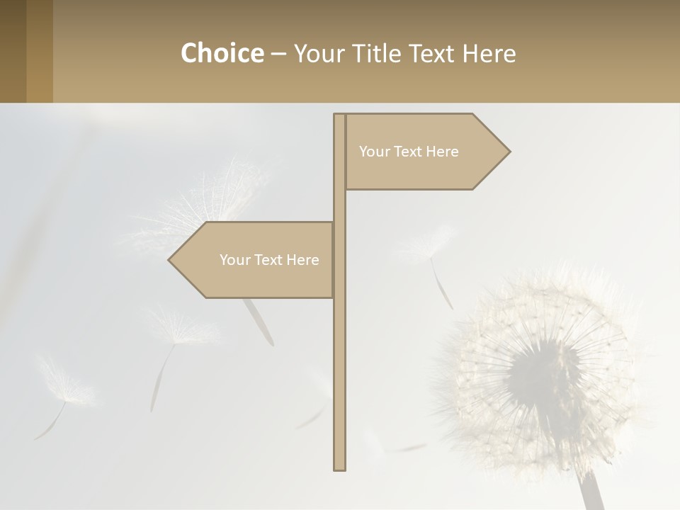 A Dandelion Powerpoint Presentation With A Sky Background PowerPoint Template