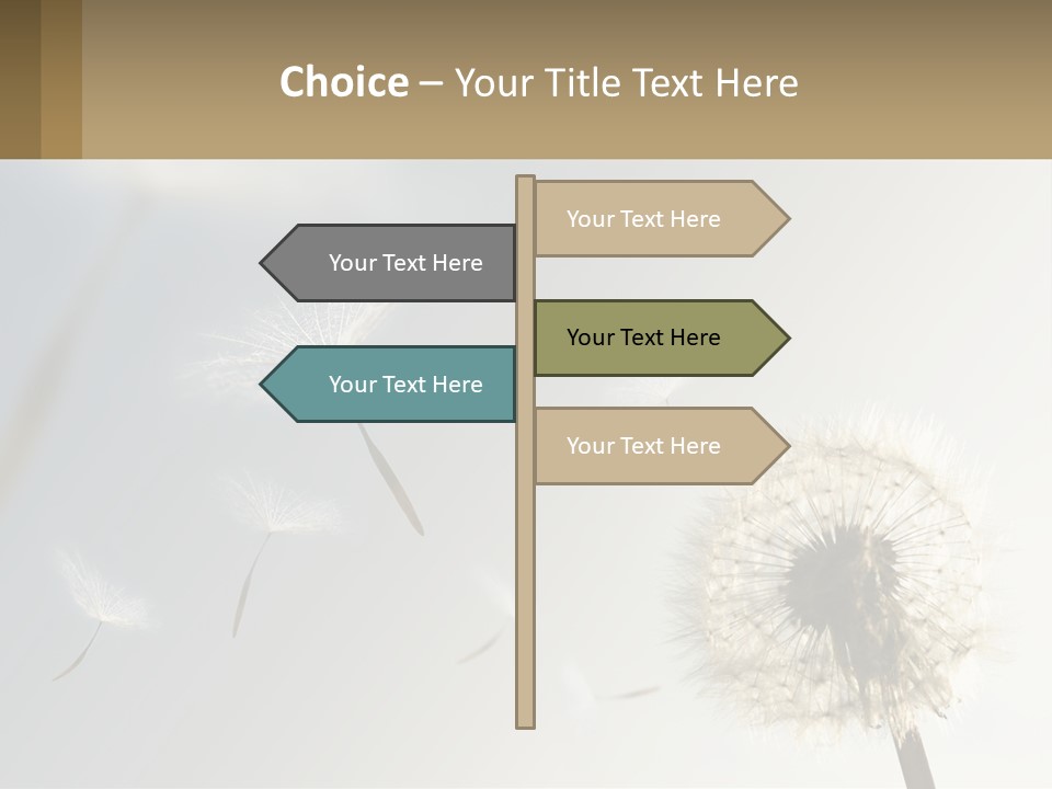 A Dandelion Powerpoint Presentation With A Sky Background PowerPoint Template