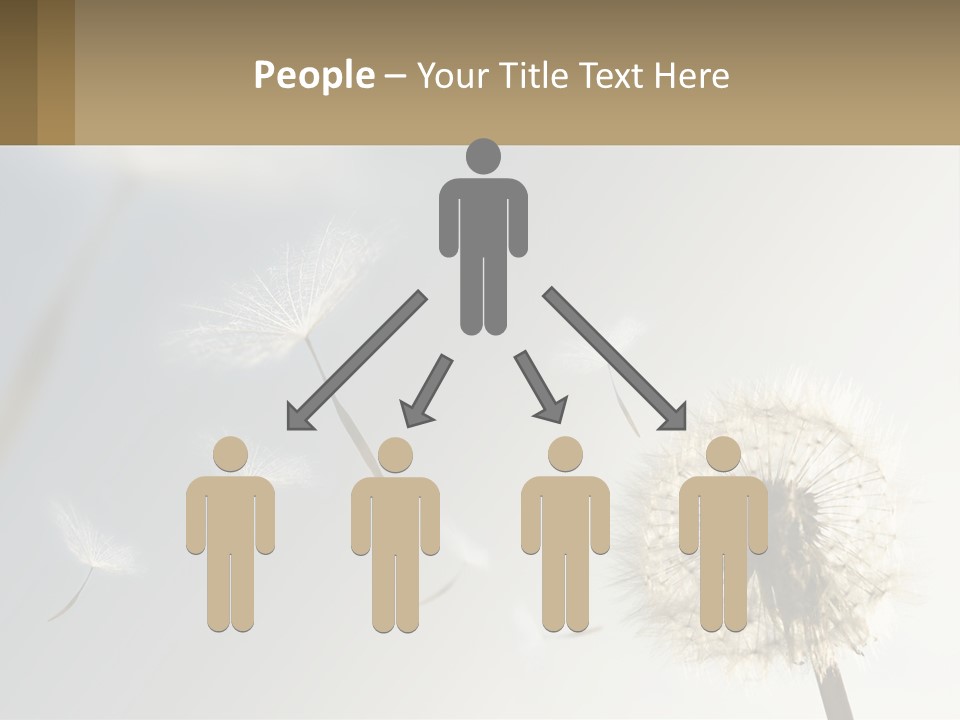A Dandelion Powerpoint Presentation With A Sky Background PowerPoint Template