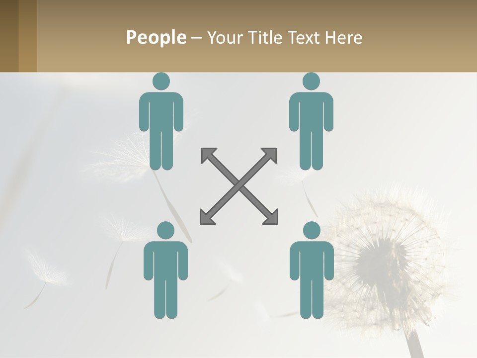 A Dandelion Powerpoint Presentation With A Sky Background PowerPoint Template