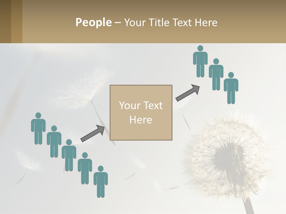 A Dandelion Powerpoint Presentation With A Sky Background PowerPoint Template