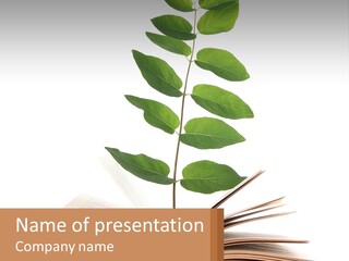 A Book With A Plant On Top Of It PowerPoint Template