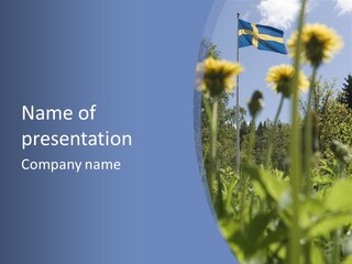 A Field Of Dandelions With A Swedish Flag In The Background PowerPoint Template
