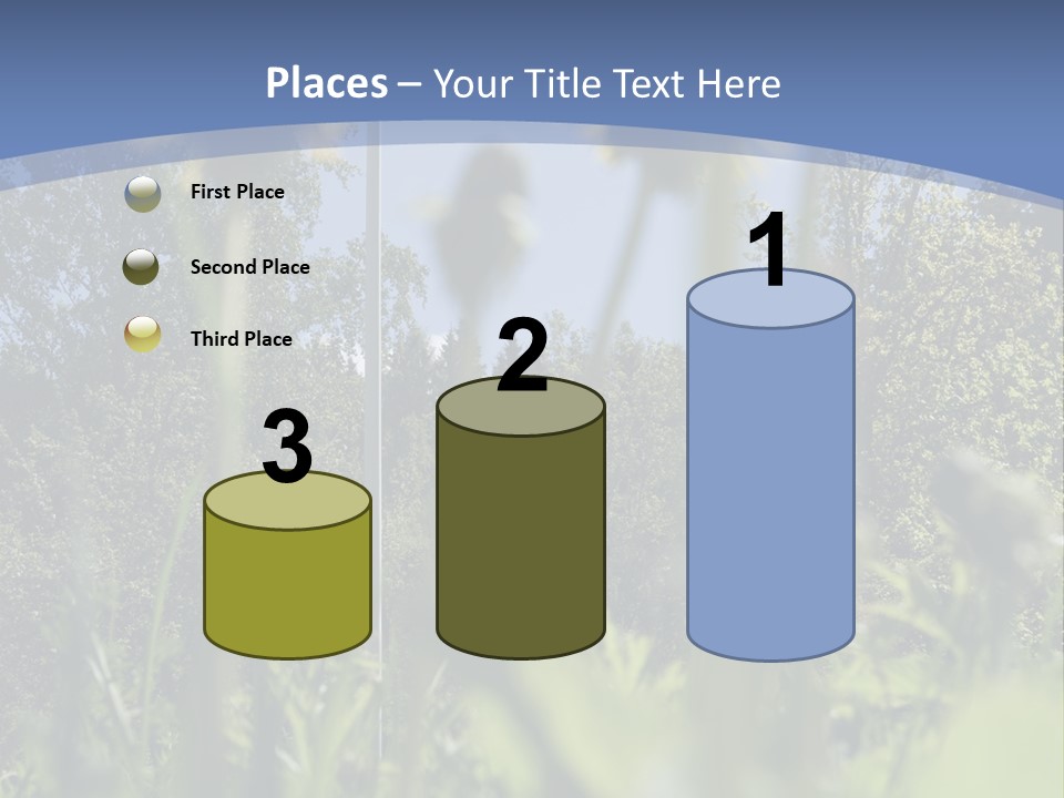 A Field Of Dandelions With A Swedish Flag In The Background PowerPoint Template