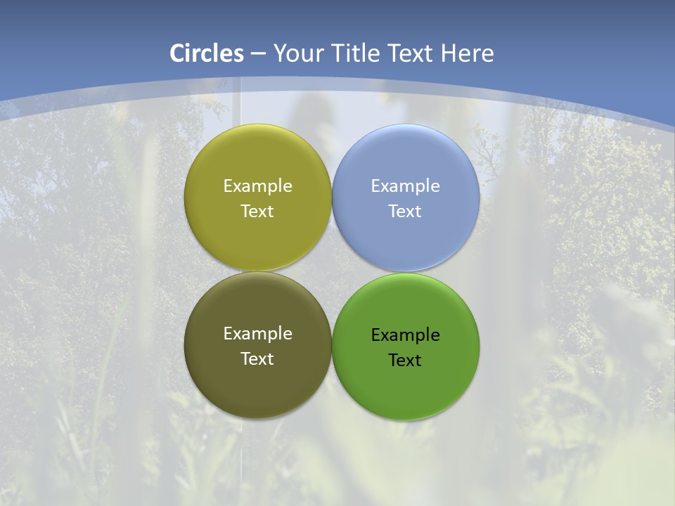 A Field Of Dandelions With A Swedish Flag In The Background PowerPoint Template