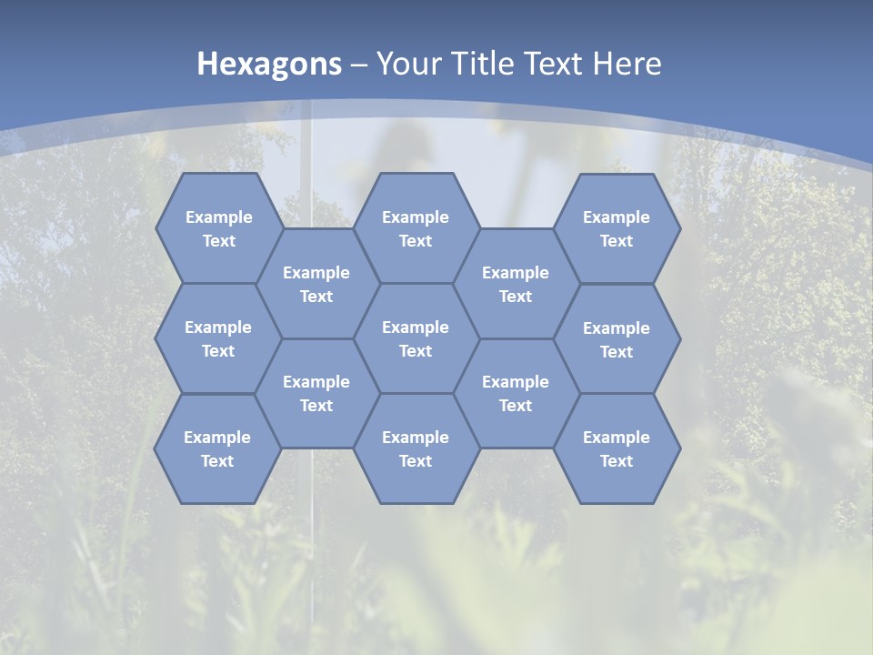 A Field Of Dandelions With A Swedish Flag In The Background PowerPoint Template