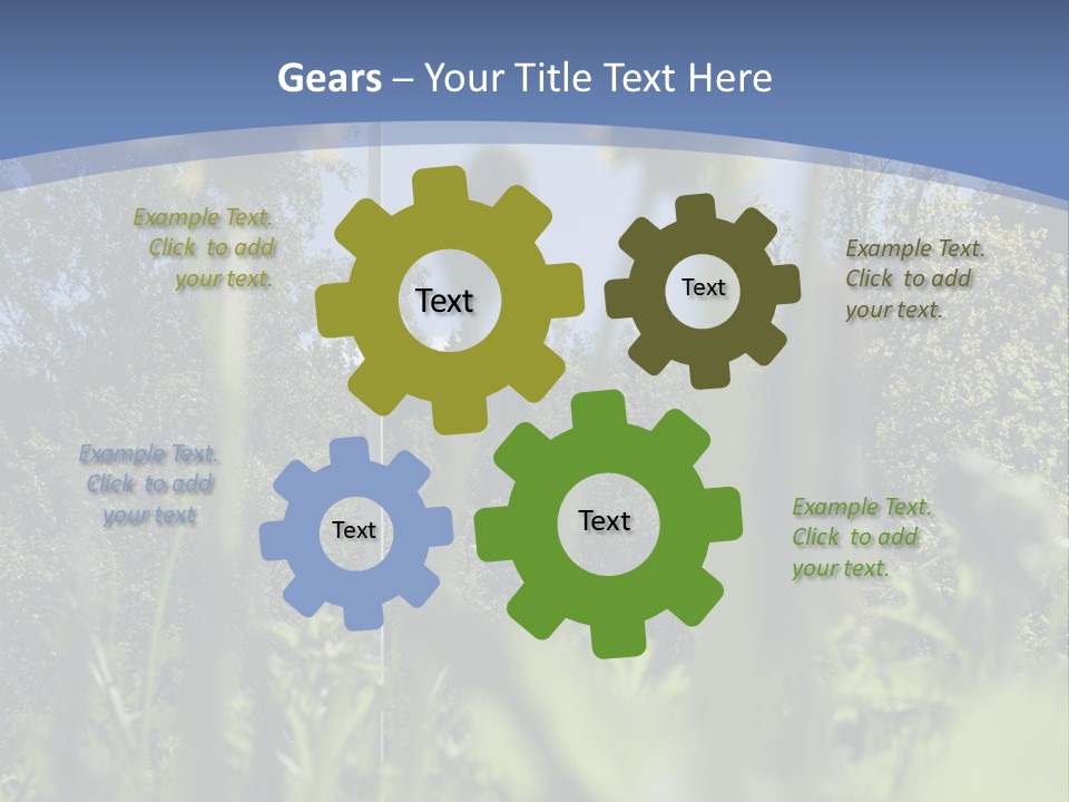 A Field Of Dandelions With A Swedish Flag In The Background PowerPoint Template