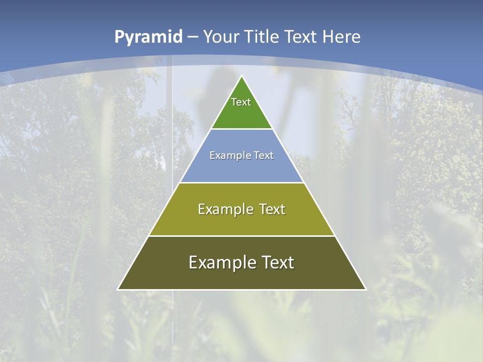 A Field Of Dandelions With A Swedish Flag In The Background PowerPoint Template