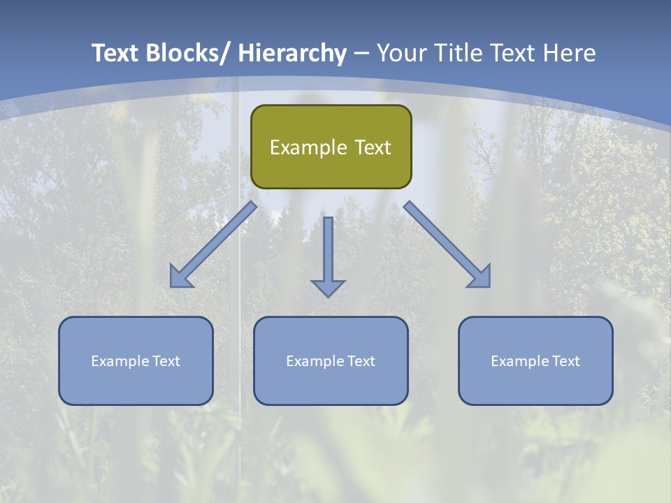 A Field Of Dandelions With A Swedish Flag In The Background PowerPoint Template