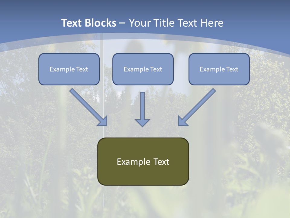A Field Of Dandelions With A Swedish Flag In The Background PowerPoint Template