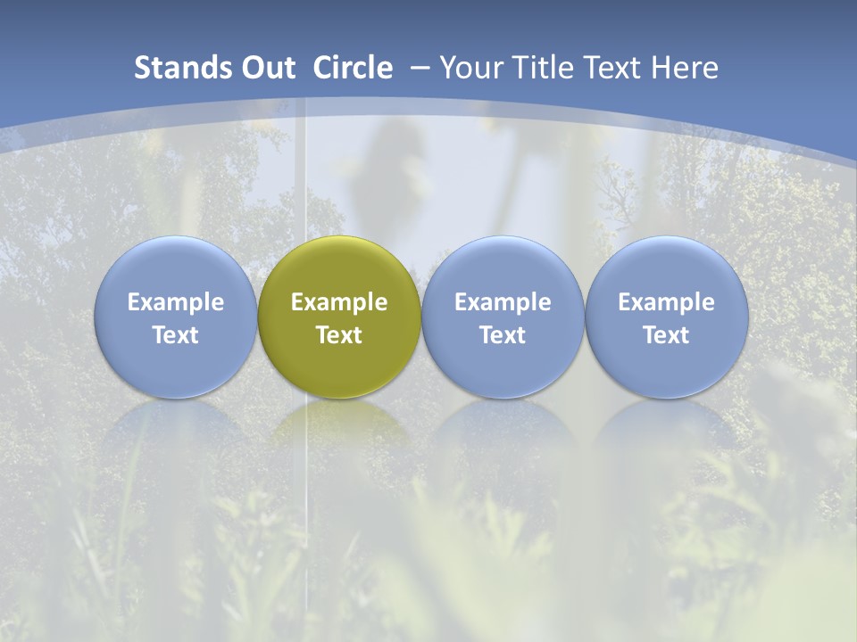 A Field Of Dandelions With A Swedish Flag In The Background PowerPoint Template