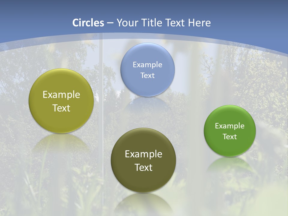 A Field Of Dandelions With A Swedish Flag In The Background PowerPoint Template