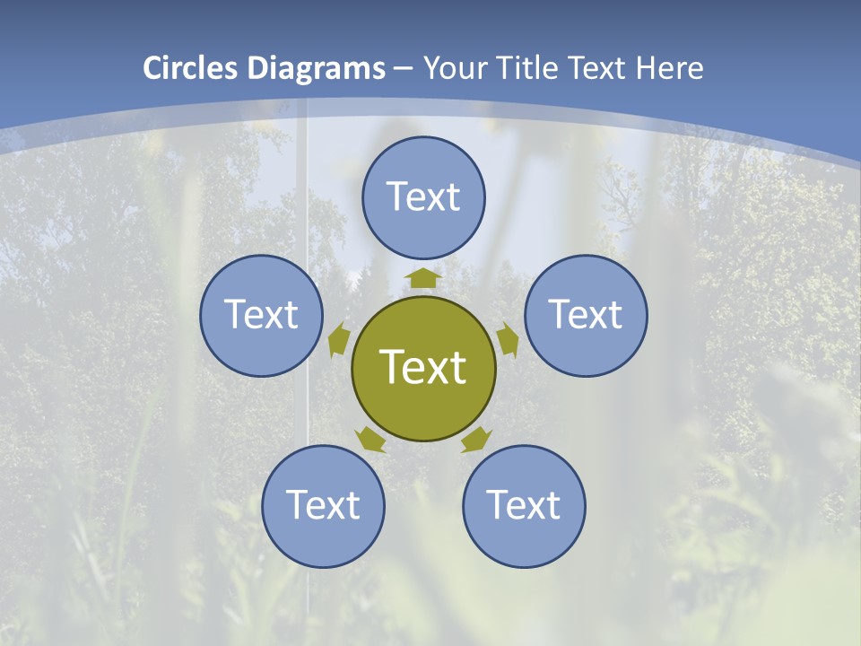 A Field Of Dandelions With A Swedish Flag In The Background PowerPoint Template