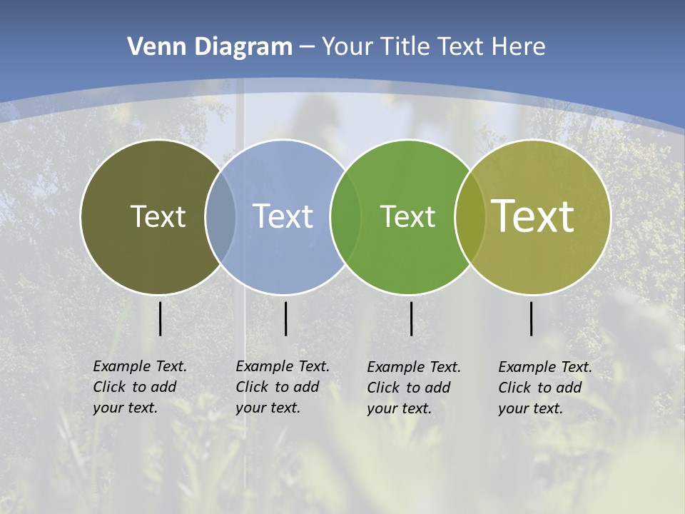 A Field Of Dandelions With A Swedish Flag In The Background PowerPoint Template