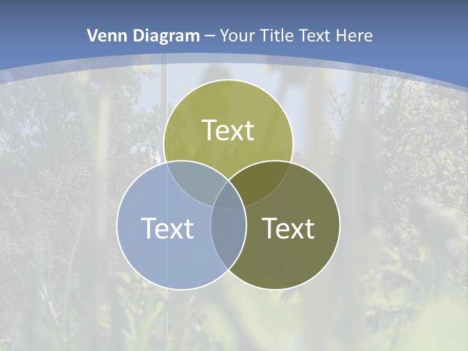 A Field Of Dandelions With A Swedish Flag In The Background PowerPoint Template