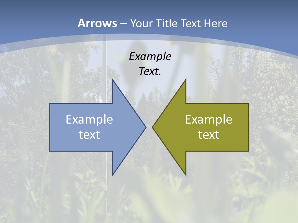 A Field Of Dandelions With A Swedish Flag In The Background PowerPoint Template
