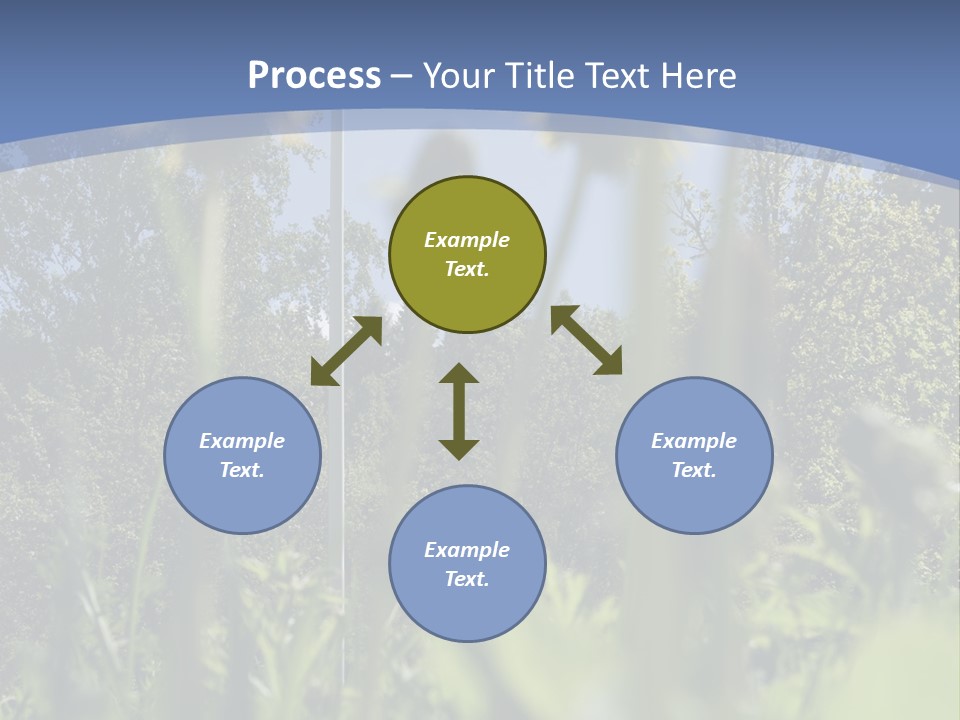 A Field Of Dandelions With A Swedish Flag In The Background PowerPoint Template