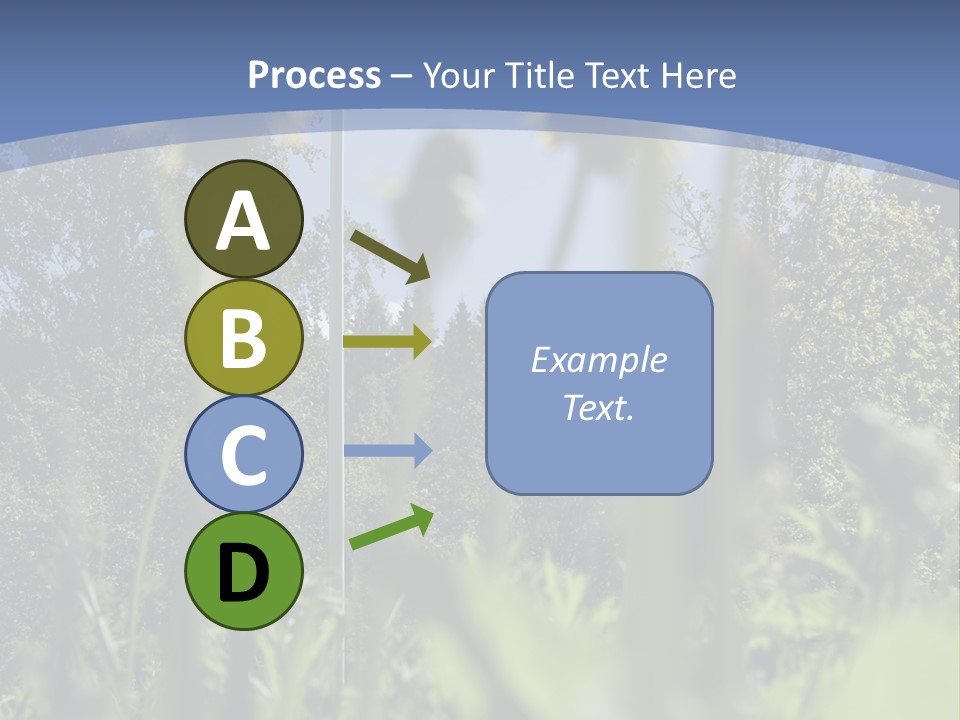 A Field Of Dandelions With A Swedish Flag In The Background PowerPoint Template