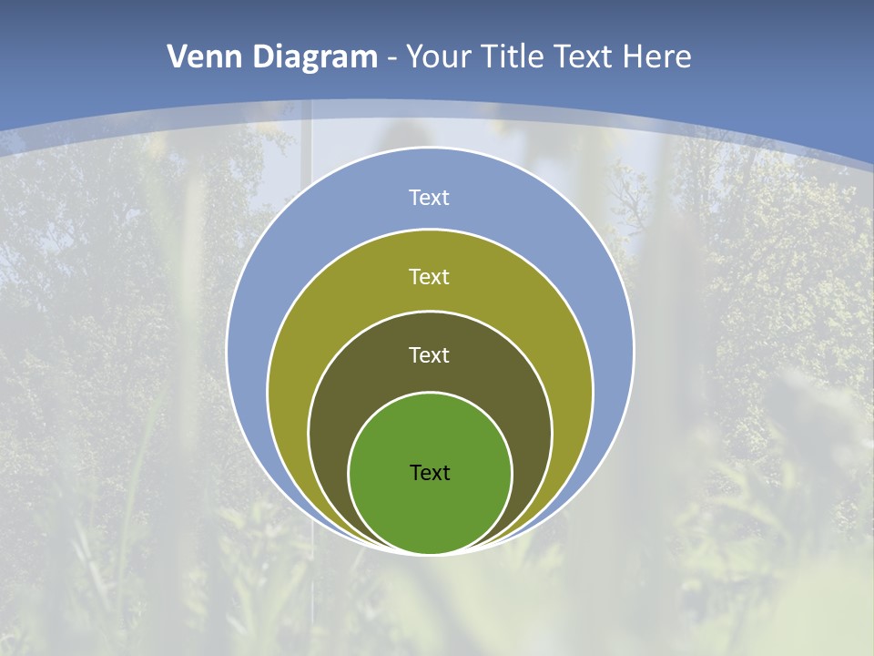 A Field Of Dandelions With A Swedish Flag In The Background PowerPoint Template