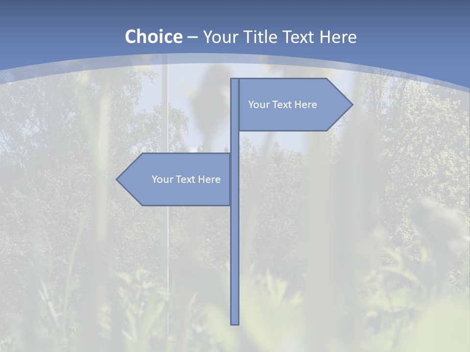 A Field Of Dandelions With A Swedish Flag In The Background PowerPoint Template