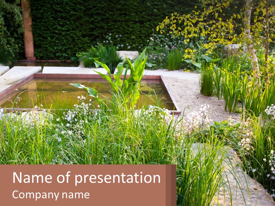 A Garden With Lots Of Plants And Water PowerPoint Template