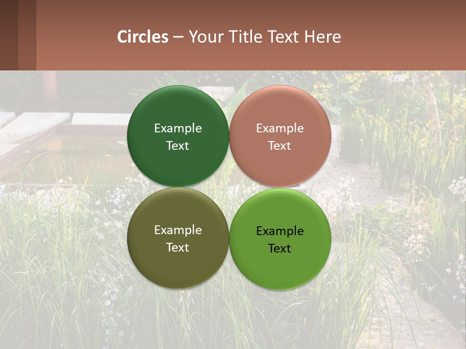 A Garden With Lots Of Plants And Water PowerPoint Template