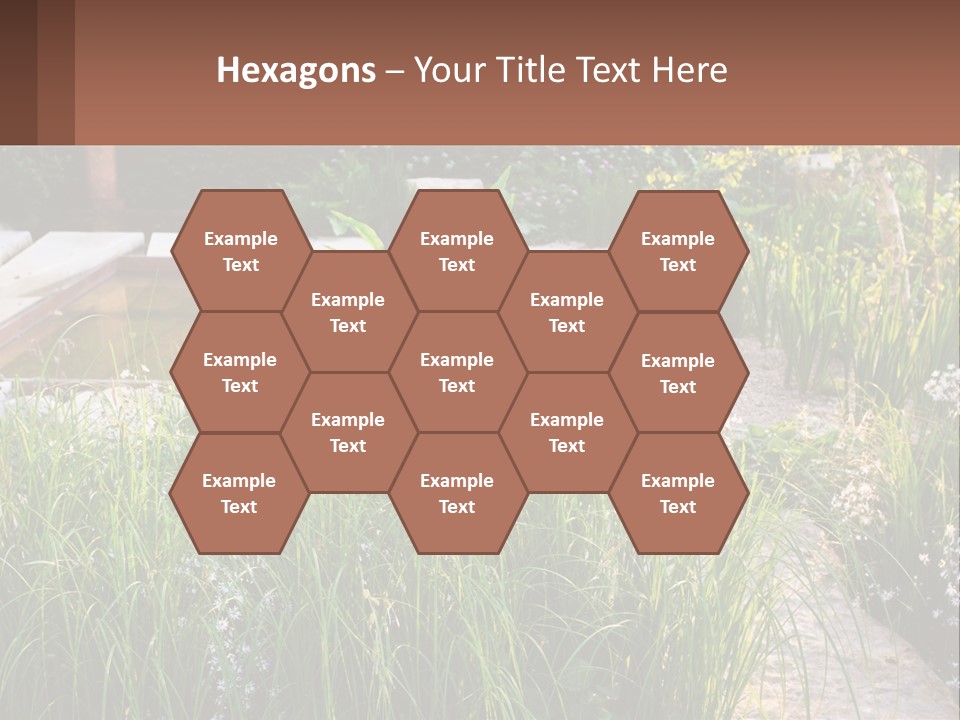 A Garden With Lots Of Plants And Water PowerPoint Template