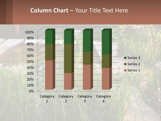 A Garden With Lots Of Plants And Water PowerPoint Template