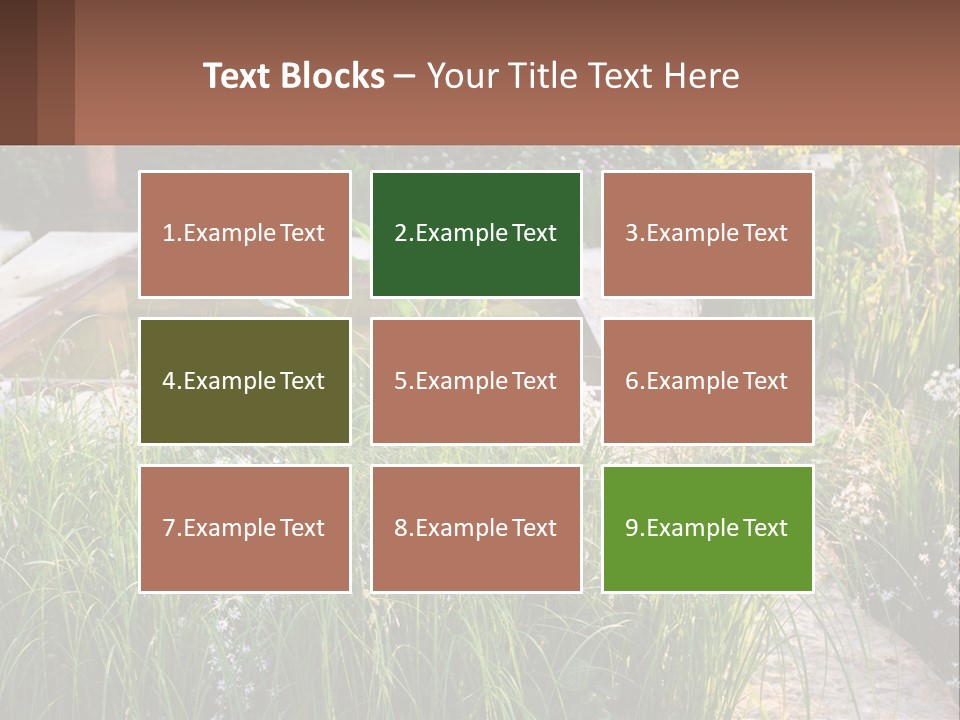 A Garden With Lots Of Plants And Water PowerPoint Template