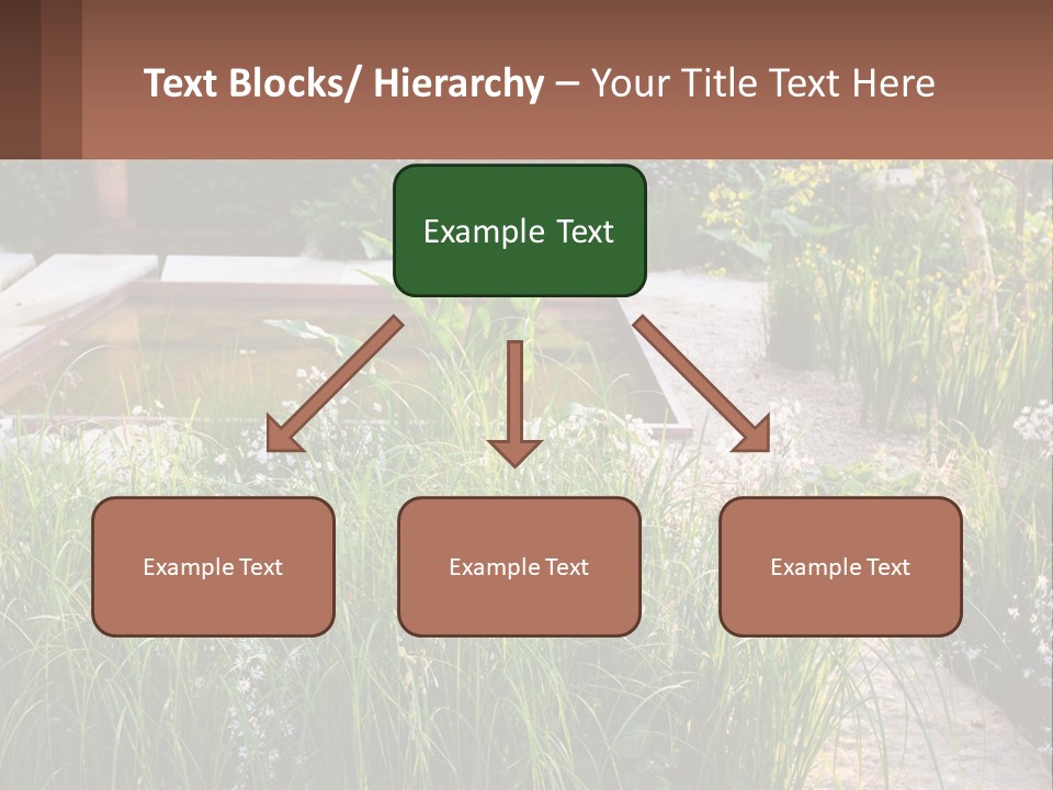 A Garden With Lots Of Plants And Water PowerPoint Template