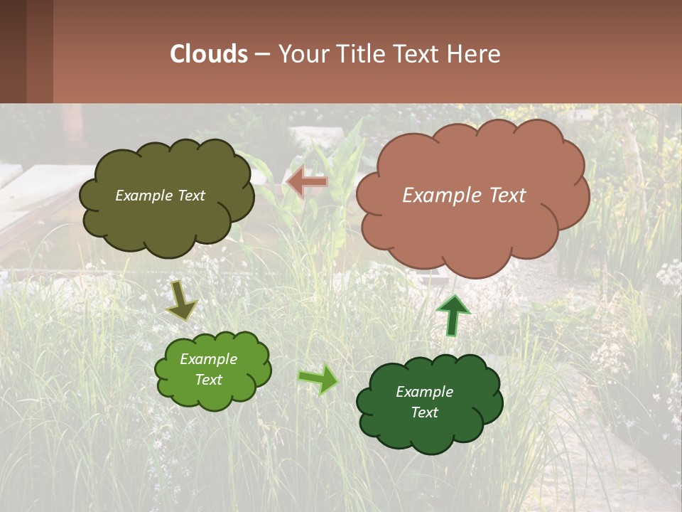 A Garden With Lots Of Plants And Water PowerPoint Template