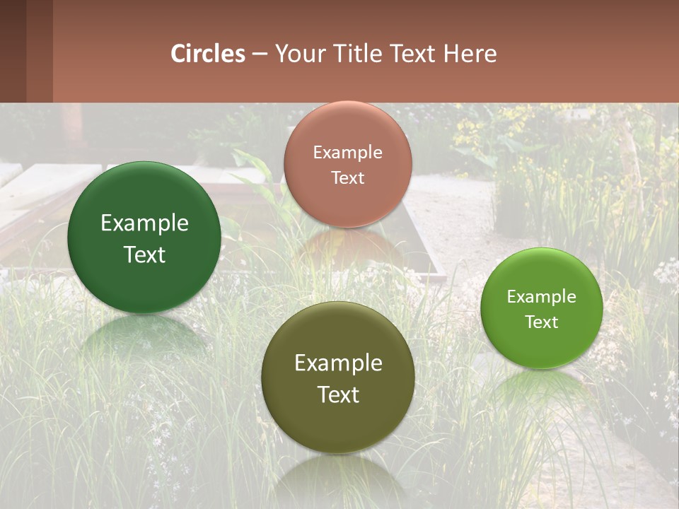 A Garden With Lots Of Plants And Water PowerPoint Template