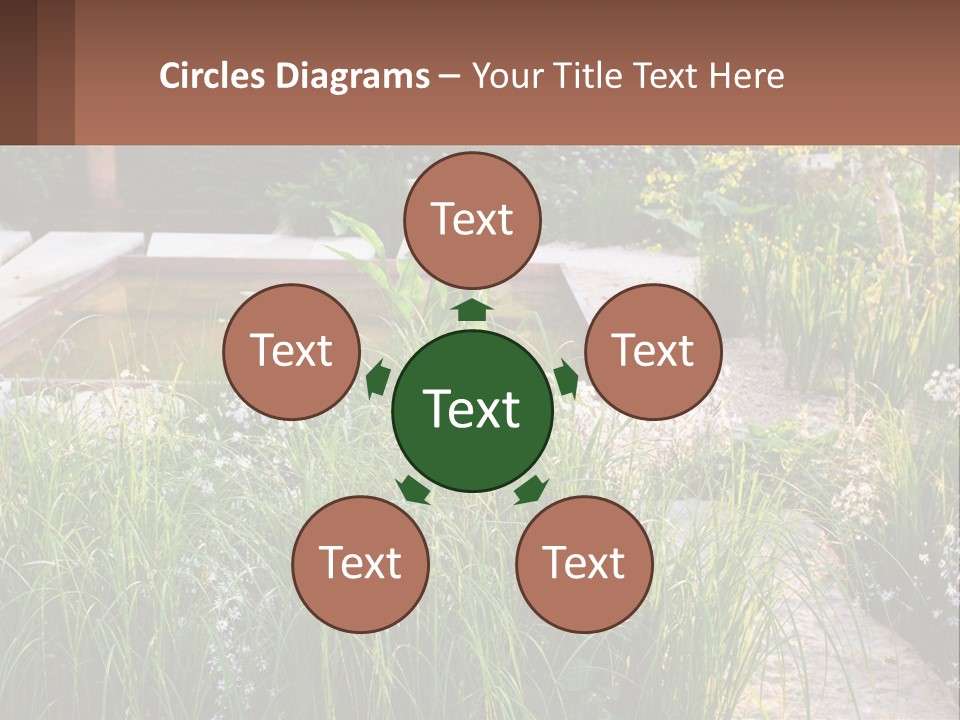 A Garden With Lots Of Plants And Water PowerPoint Template